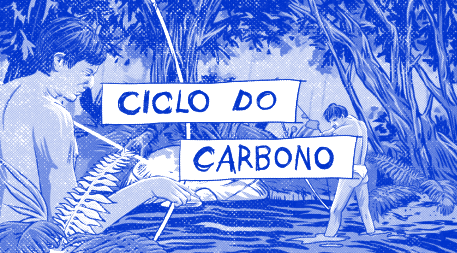 Ciclo do Carbono